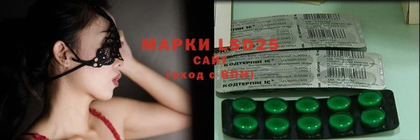 дмт Кодинск