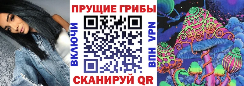мориарти какой сайт  Называевск  Псилоцибиновые грибы мицелий 